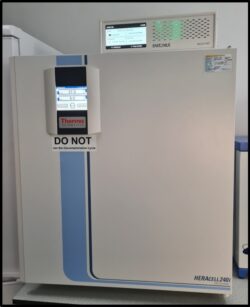 HERACELL 240i Carbon Dioxide Incubator (Thermo Scientific)