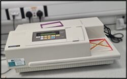 SpectraMax M2 (Molecular Devices)