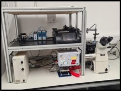 Nikon Eclipse Ti Inverted Microscope