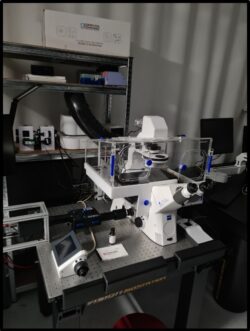 Zeiss Microscope with Incubator XLmulti SI